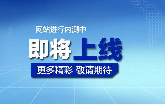 喜迎國慶,瑞賽克官方網站上線！